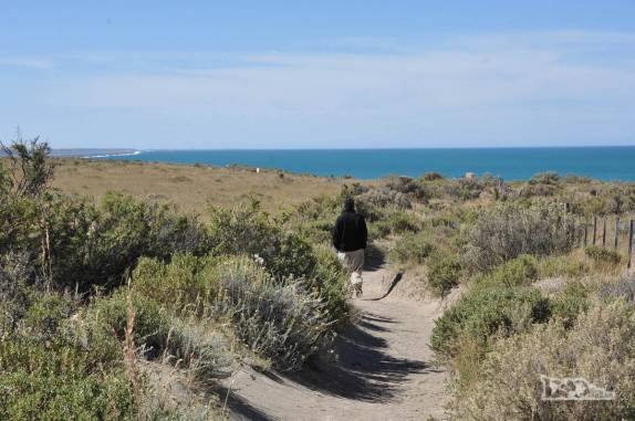 Caminhando em trilha na Península Valdés, no litoral da  patagônia argentina